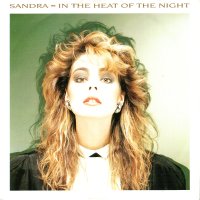 IN THE HEAT OF THE NIGHT [7"]